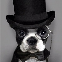 Аватар пользователя